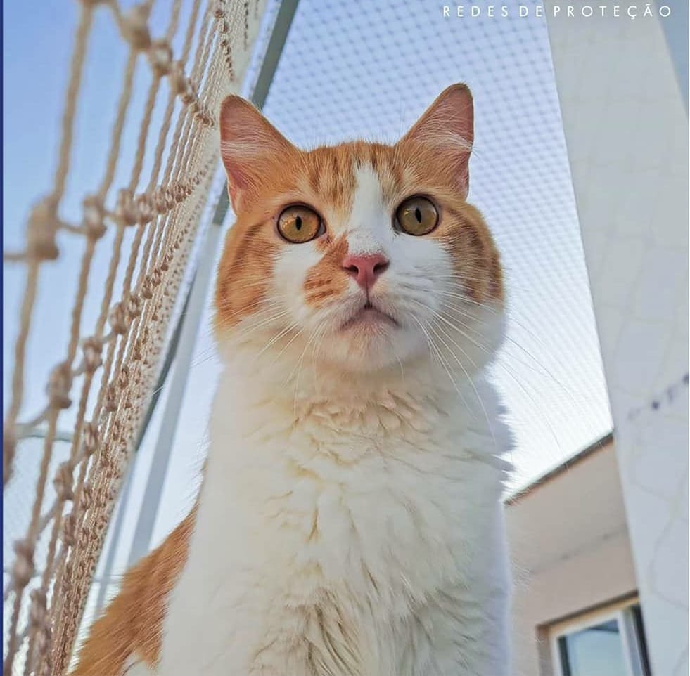 Foto de instalação 1
